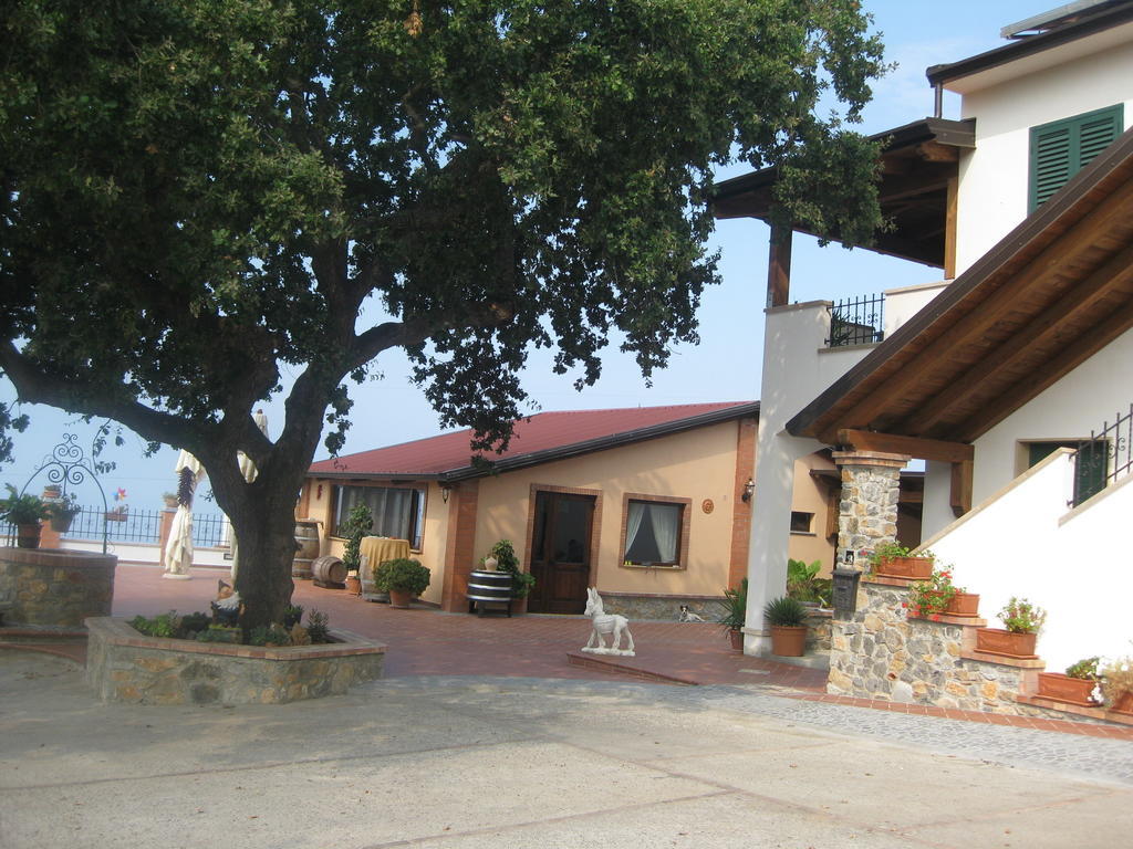 Agritursmo Montesalerno Villa Diamante Exterior foto